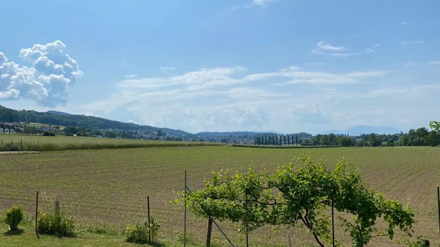 Constructible plot for sale - Zwillikerstrasse 59, 8908 Hedingen - Photo 2