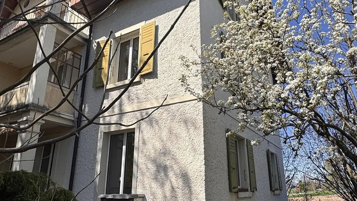 Maison jumelle à vendre - Talackerstrasse 71, 3604 Thun - Photo 3