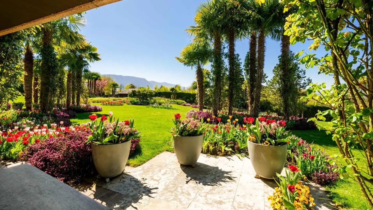 Appartamento in vendita - 1223 Cologny - Foto 4
