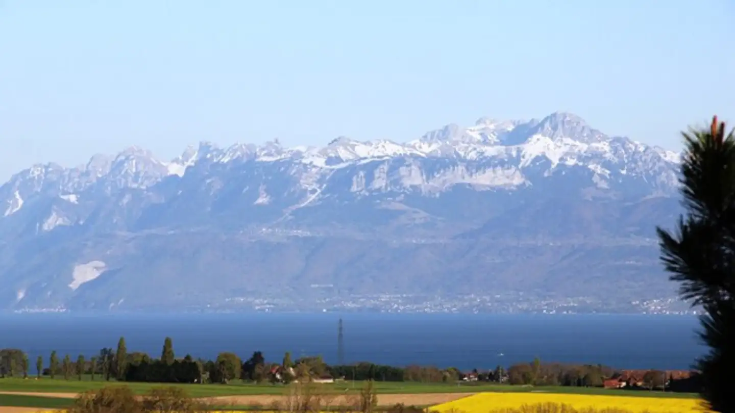 Villa in affitto - 1110 Morges - Photo 3