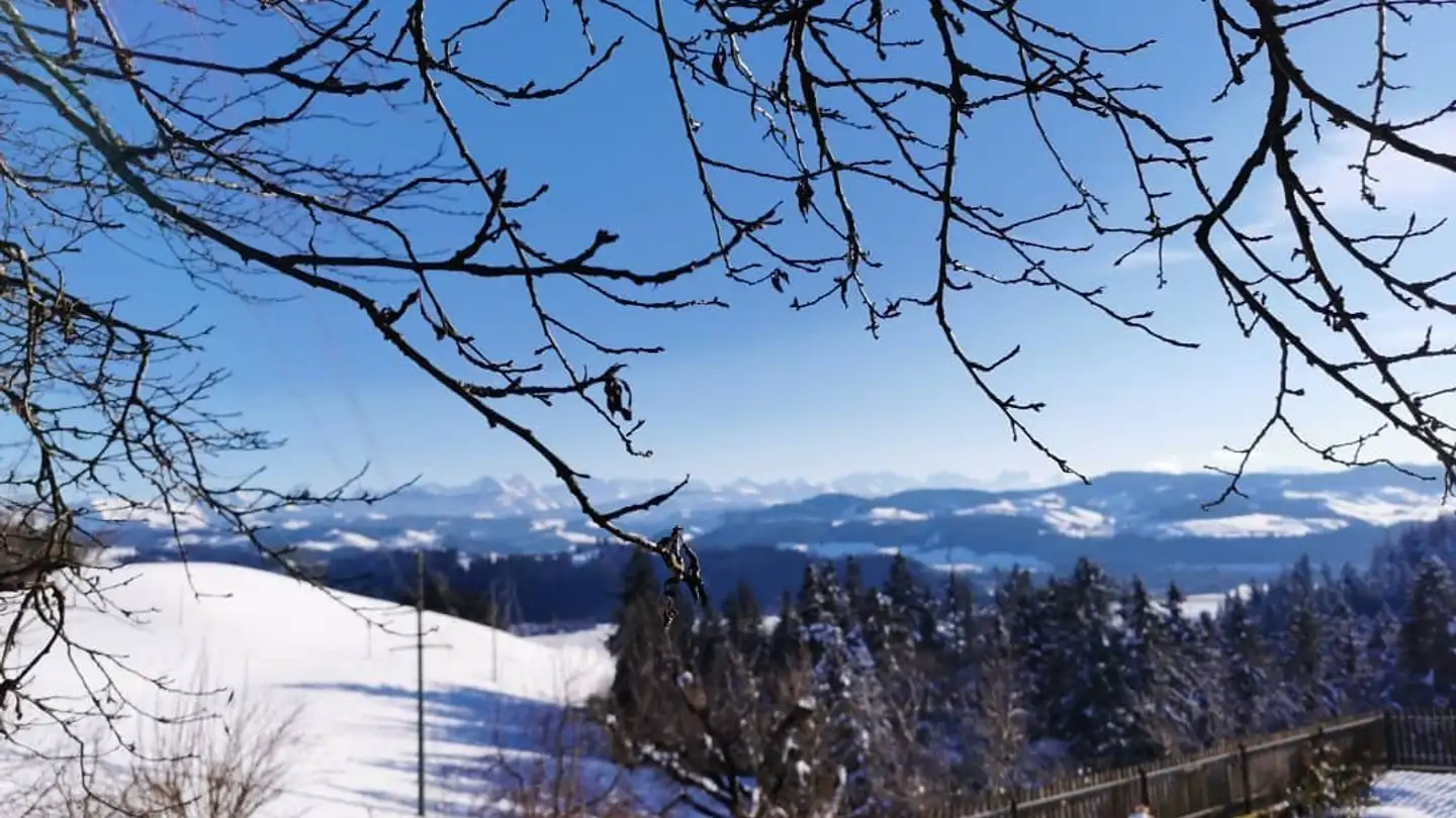 Wohnung mieten - Buchrütti 690, 3452 Grünenmatt