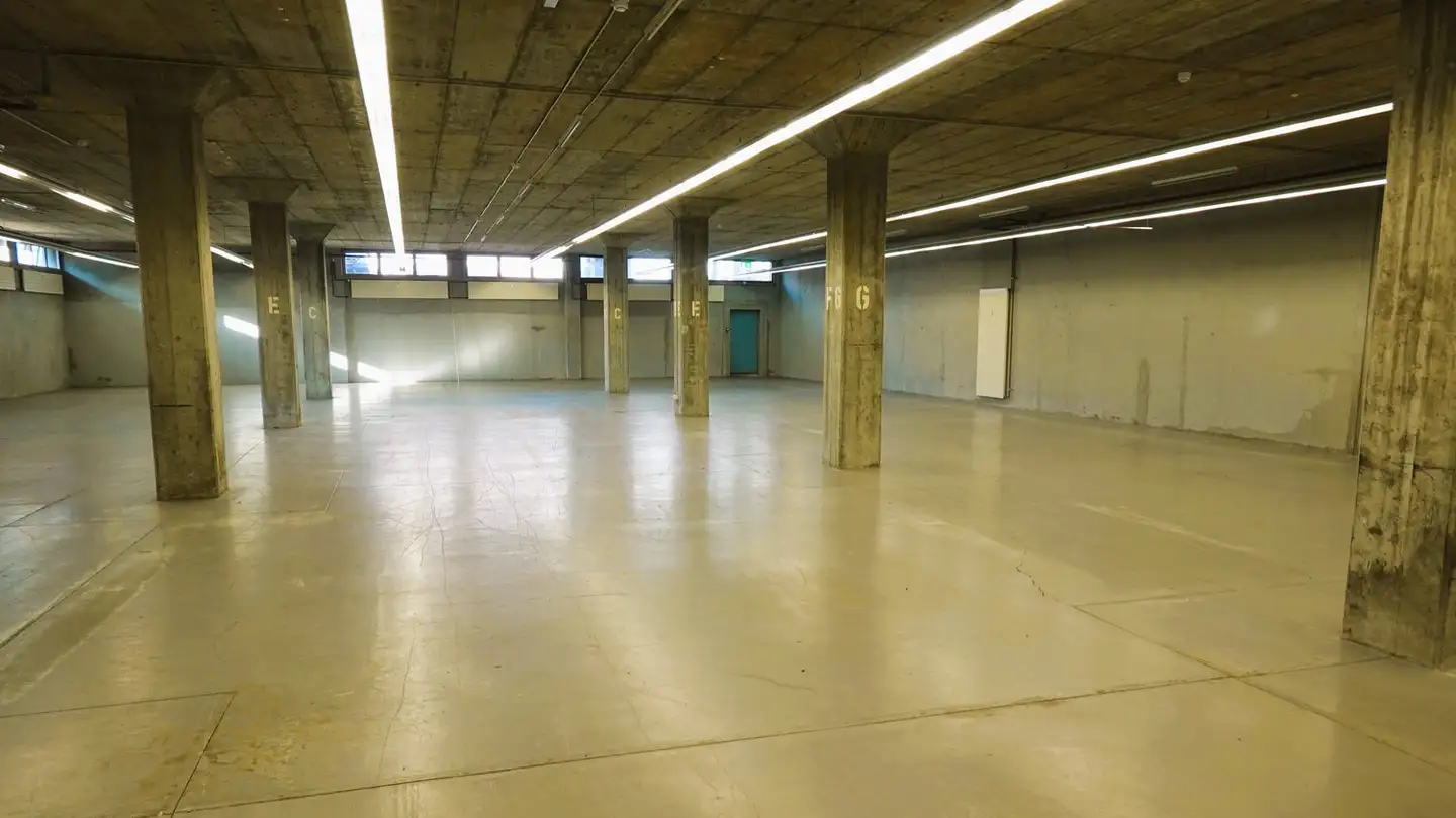 Storage space for rent - Grüssenhölzliweg 5, 4133 Pratteln - Photo 3