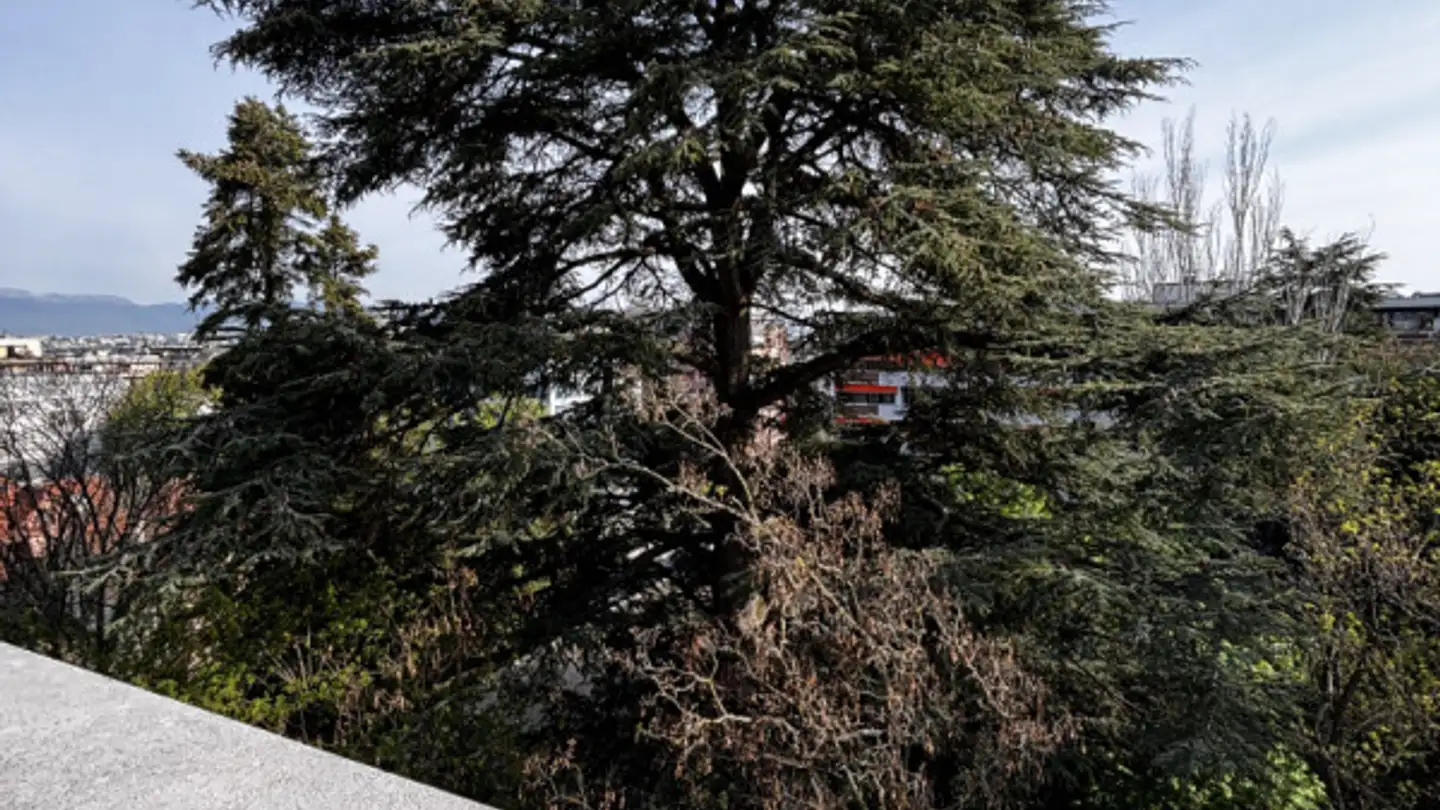 Apartment for sale - 1206 Genève - Photo 2