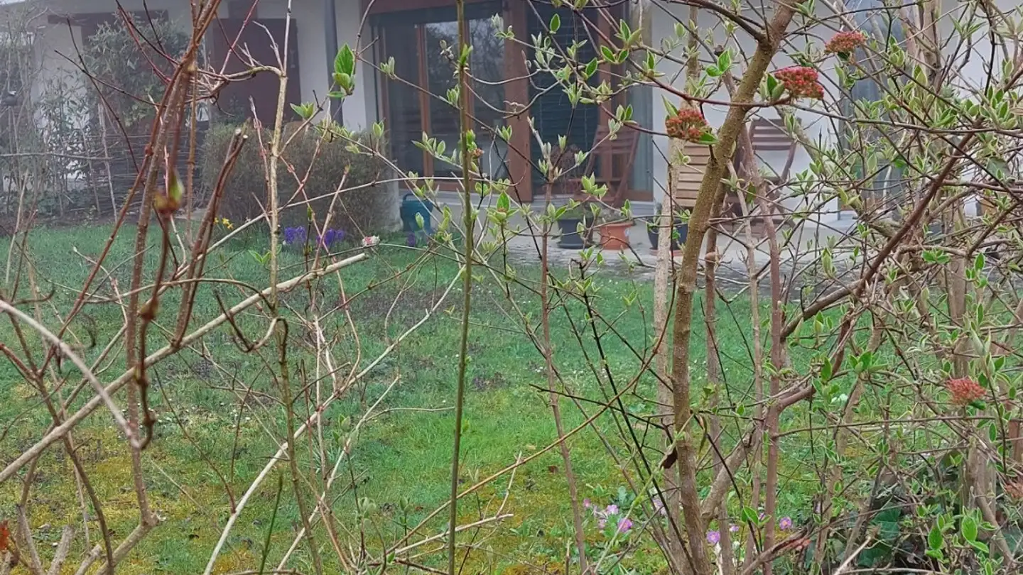 Wohnung mieten - Zur Brunnenstube 15, 8914 Aeugst am Albis