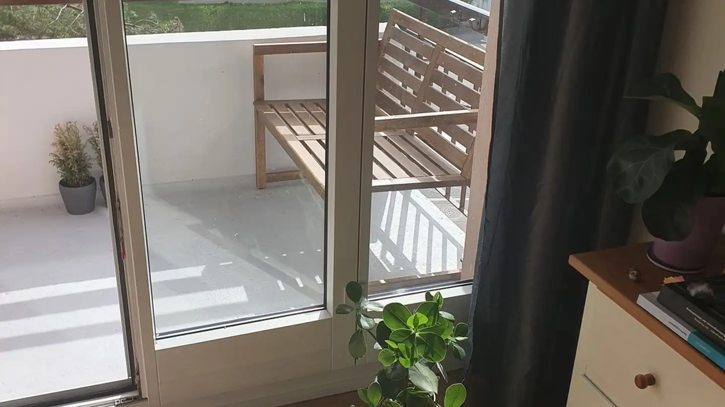 Single room for rent - 8903 Birmensdorf ZH - Photo 3