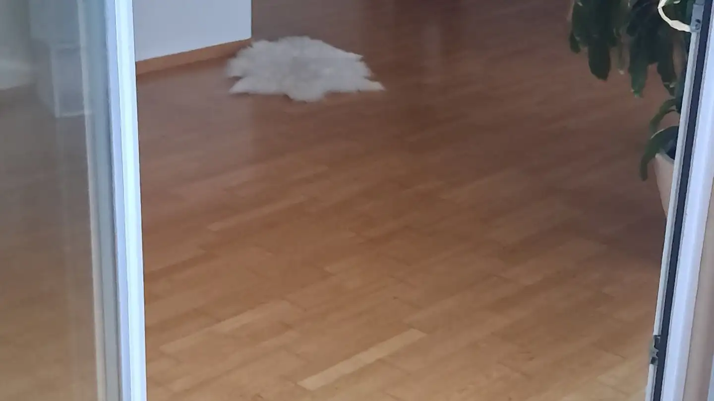 Furnished apartment for rent - St. Wendelin 3, 6343 Holzhäusern ZG - Photo 2