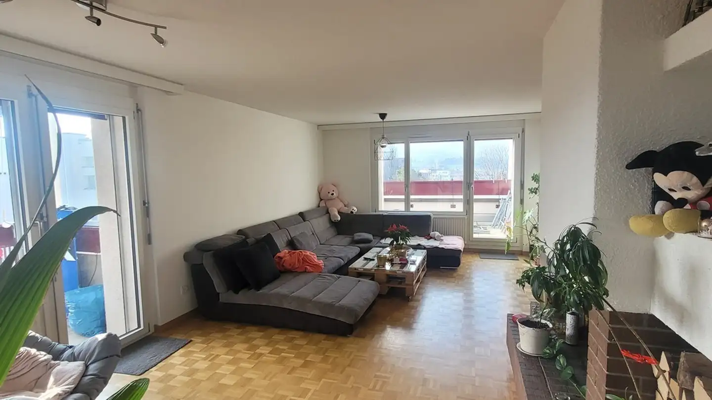 Single room for rent - 8952 Schlieren - Photo 3