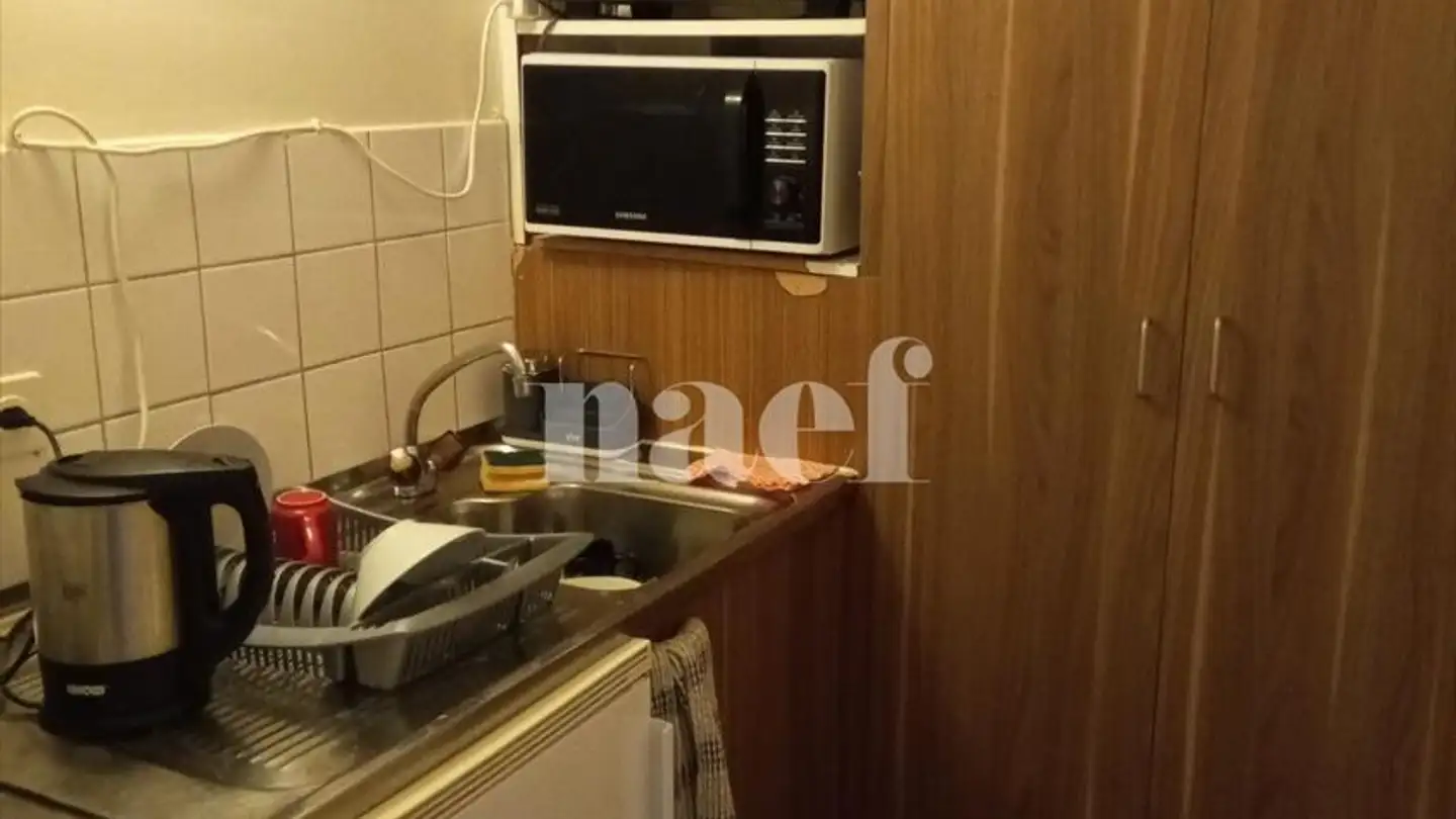 Appartamento in affitto - Rue Vautier 12, 1227 Carouge GE - Photo 4