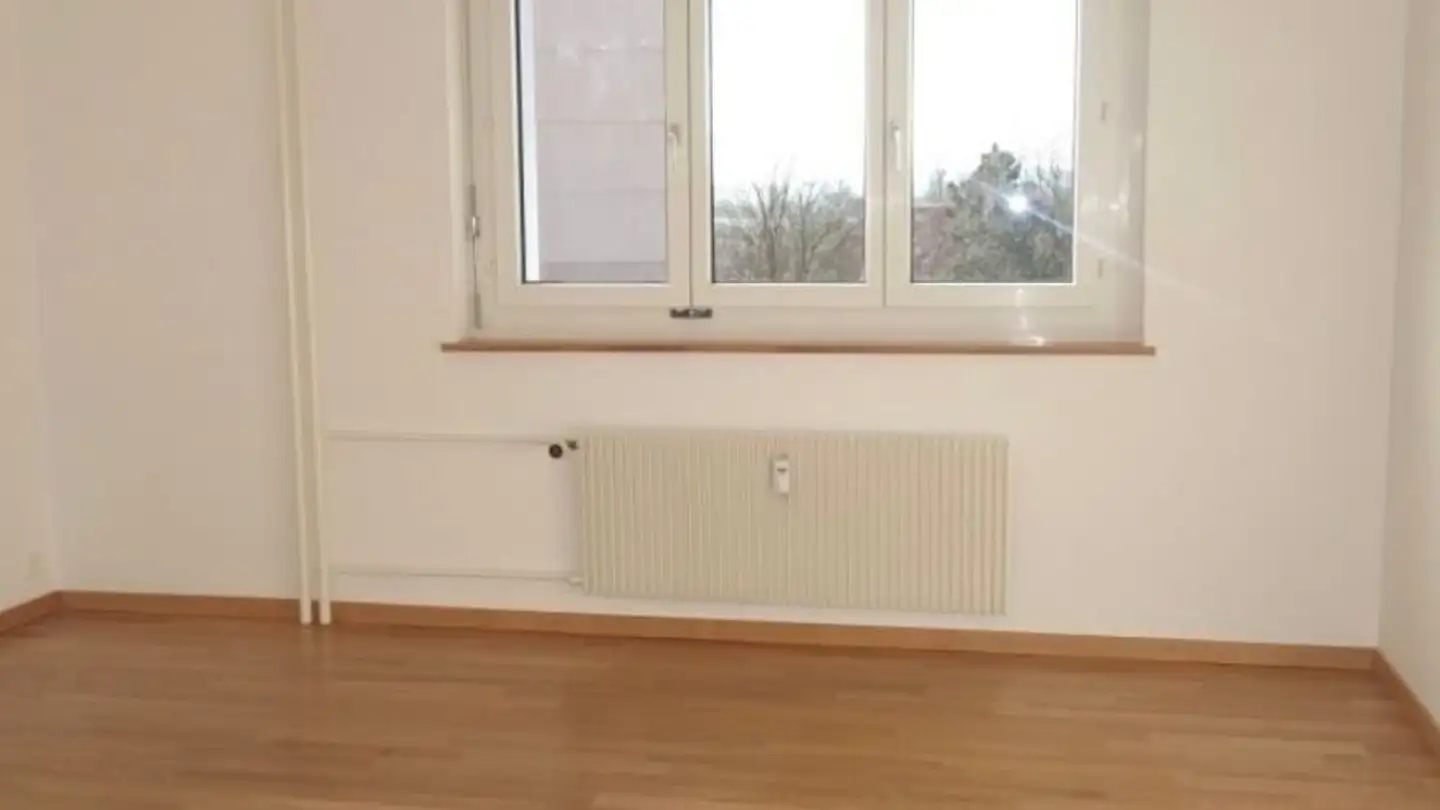 Appartamento in affitto - Amriswilerstrasse 64, 8570 Weinfelden - Foto 2