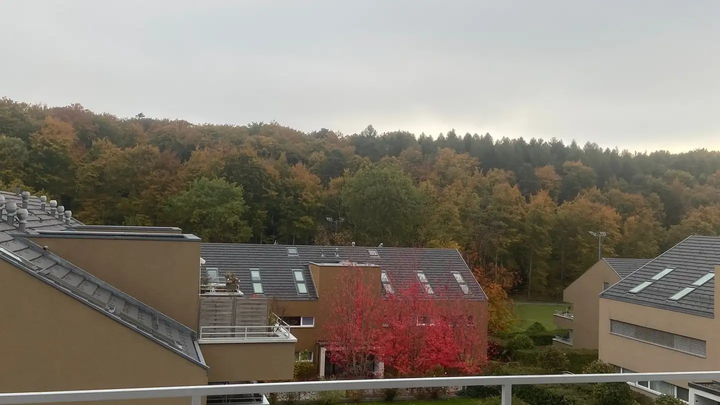 Apartment for rent - Le Grand-Chemin 41, 1066 Epalinges