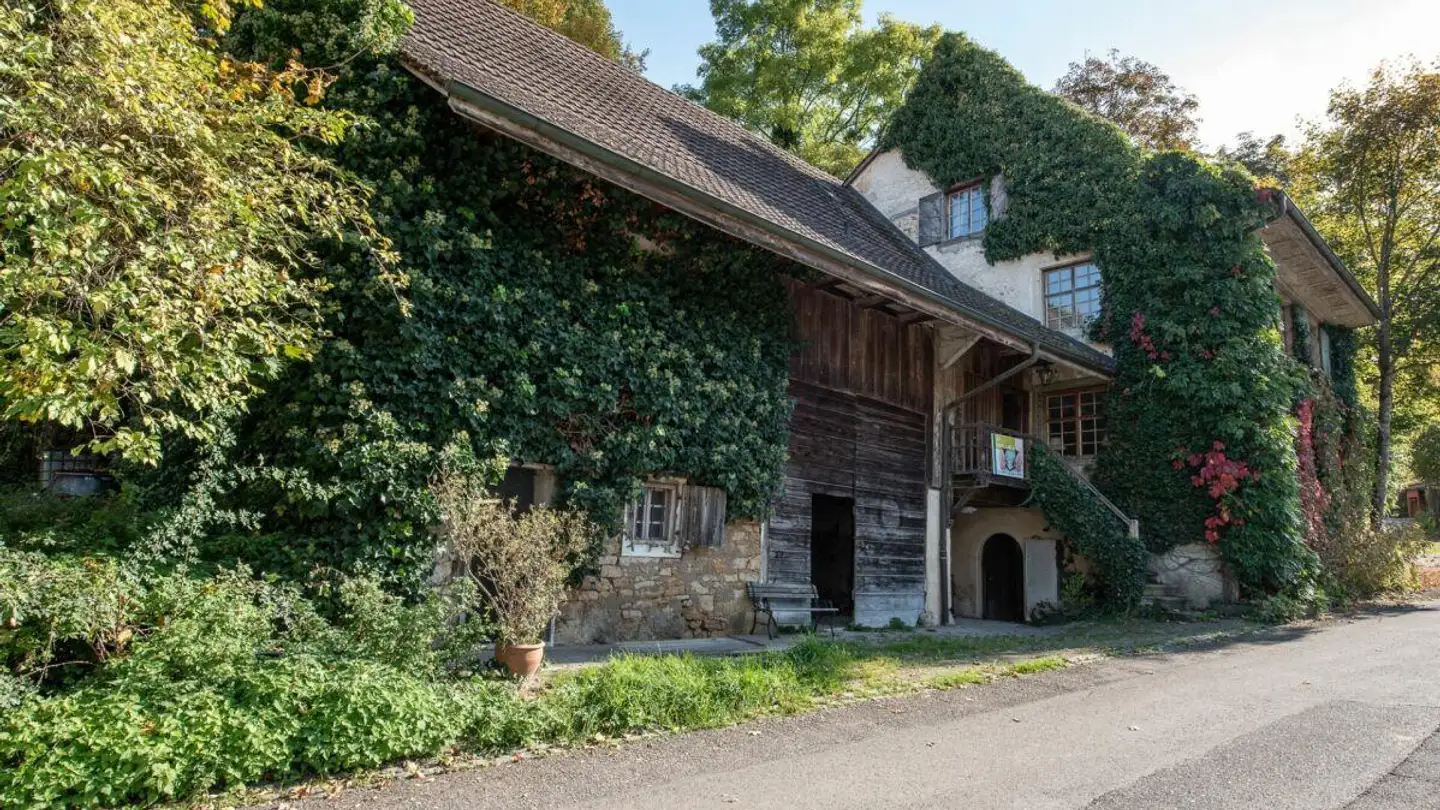 Ferme à vendre - Kirchgasse 19, 4417 Ziefen - Photo 2