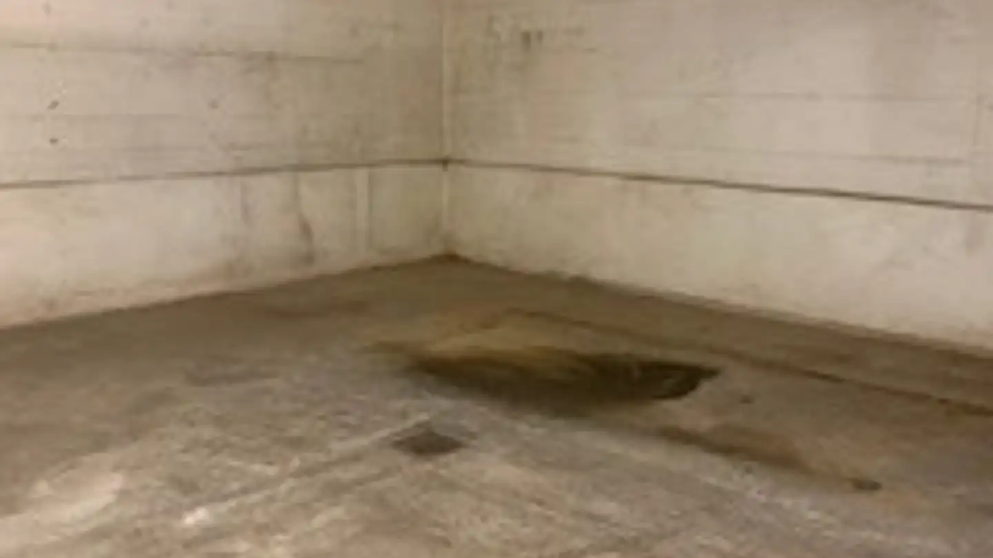 Spazio di archiviazione in affitto - Rue Cécile-Biéler-Butticaz 5, 1207 Genève - Foto 3