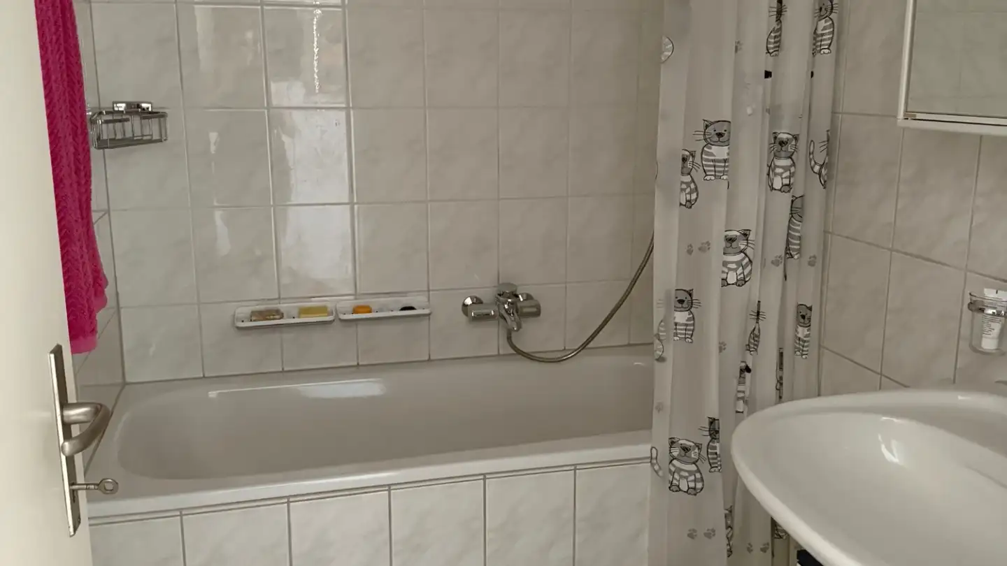 Apartment for rent - Maihölzlistrasse 5, 5621 Zufikon - Photo 2