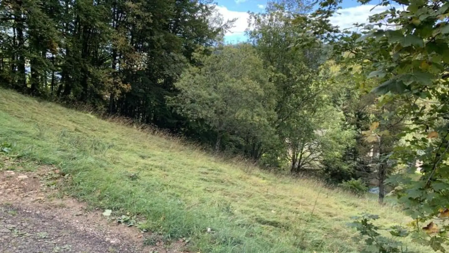 Constructible plot for sale - 1264 St-Cergue