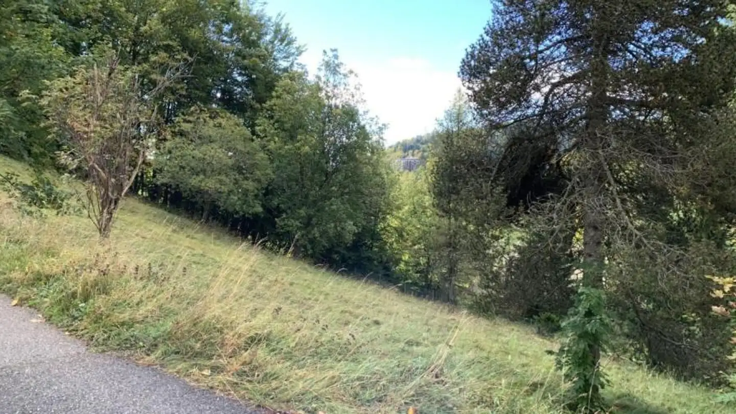 Terrain constructible à vendre - 1264 St-Cergue - Photo 2