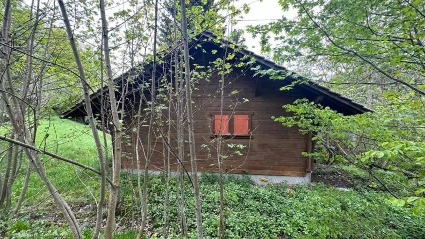 Terrain constructible à vendre - 1264 St-Cergue - Photo 3