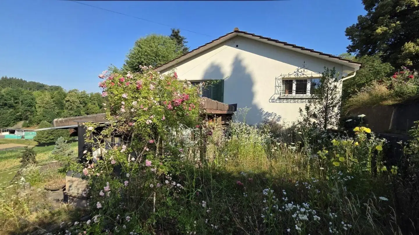 Single house for sale - Birchweg, 5504 Othmarsingen - Photo 3