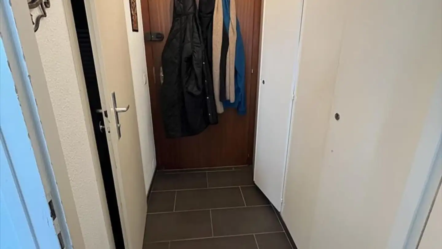 Appartamento in affitto - Chemin Ami- Argand 54, 1290 Versoix - Photo 3