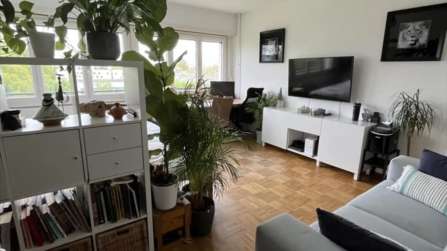 Appartamento in affitto - Chemin Ami- Argand 54, 1290 Versoix - Photo 4