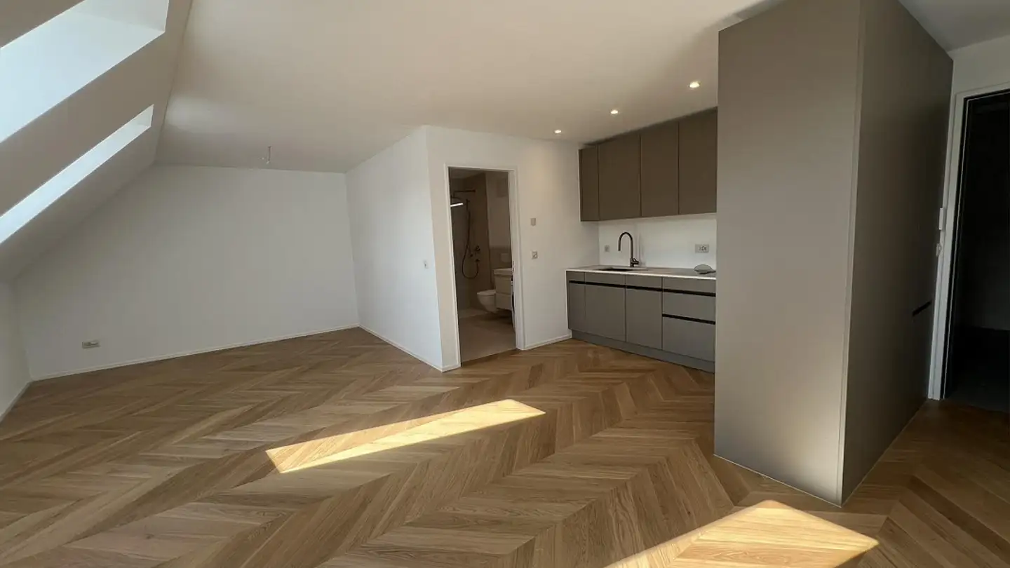 Studio in affitto - Hinterleymenweg 3, 4246 Wahlen b. Laufen - Photo 2