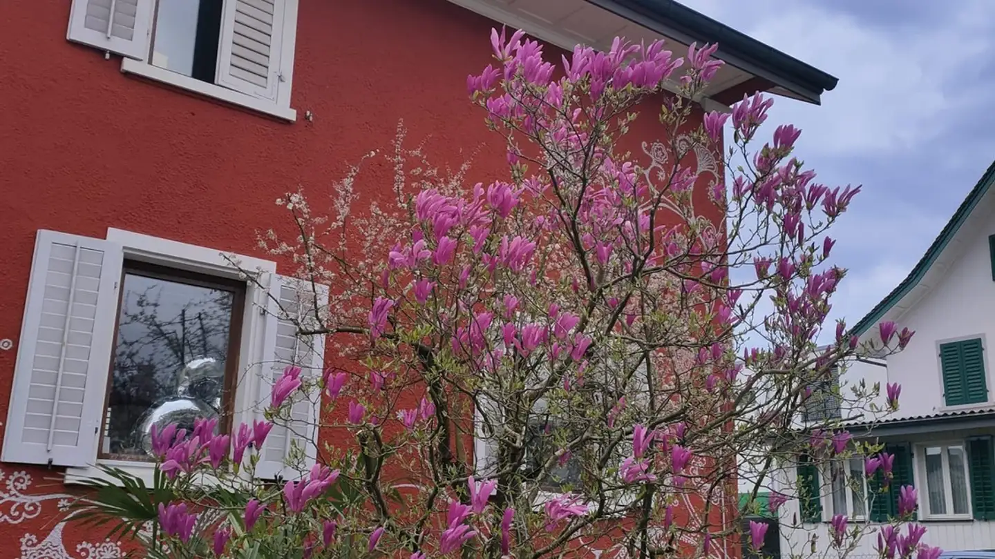 Maison individuelle à louer - 8302 Kloten - Photo 2