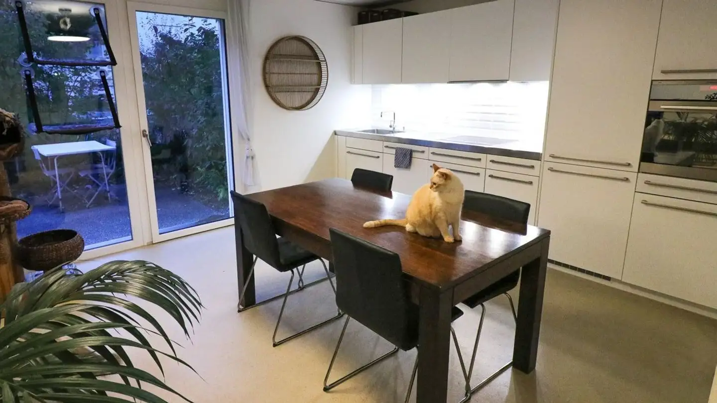 Appartamento ammobiliato in affitto - Hochbordstrasse 39, 8600 Dübendorf - Photo 2