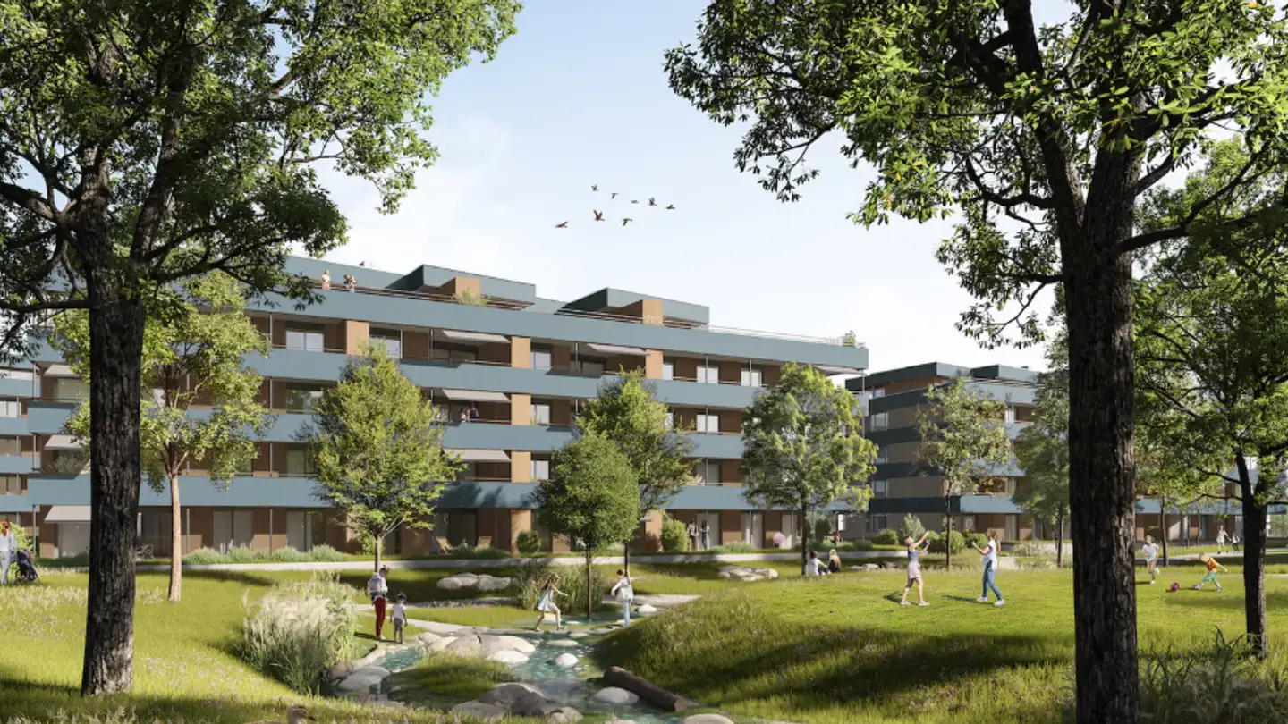 Appartement à louer - 5734 Reinach AG