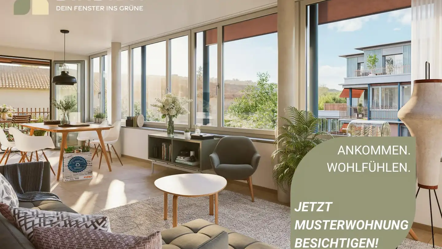 Appartamento in affitto - Grosswiesenstrasse 10, 8051 Zürich