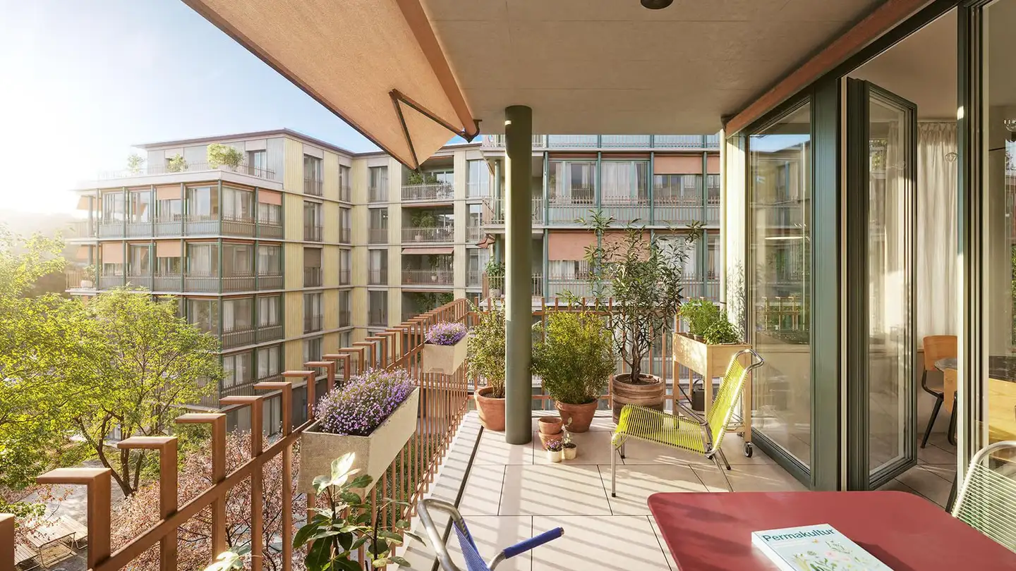Appartamento in affitto - Grosswiesenstrasse 10, 8051 Zürich - Foto 2