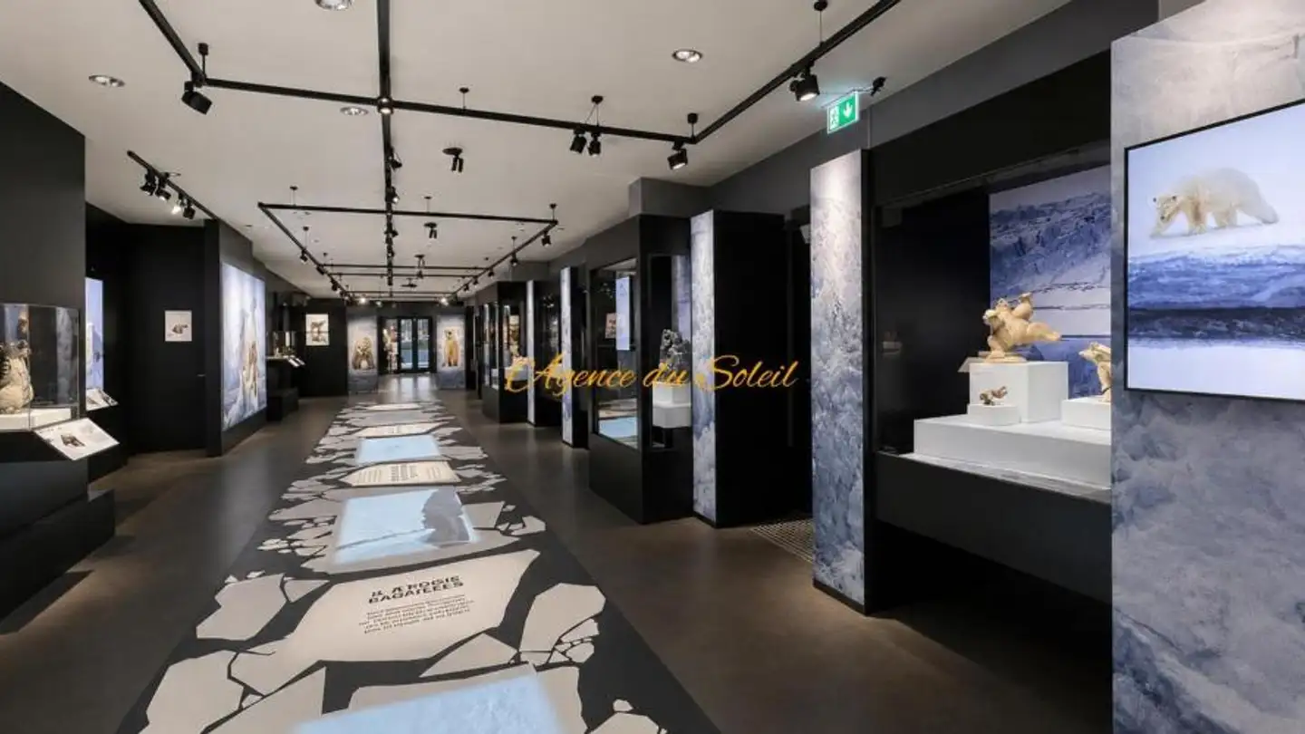 Commerciale in vendita - 3963 Crans-Montana