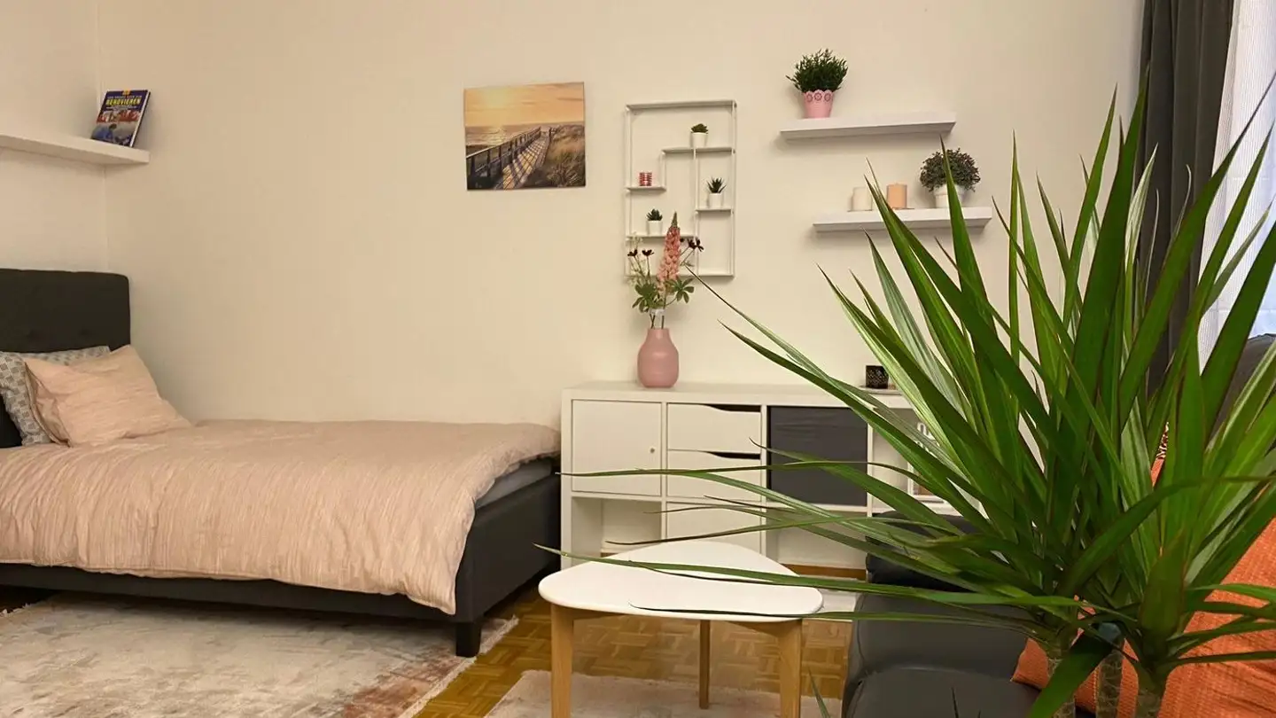Appartamento in affitto - 3012 Bern