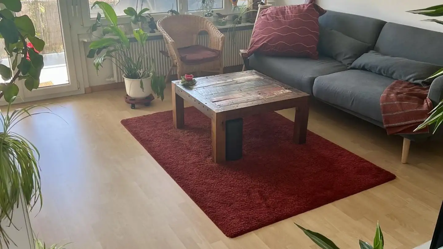 Möblierte Wohnung mieten - 6030 Ebikon