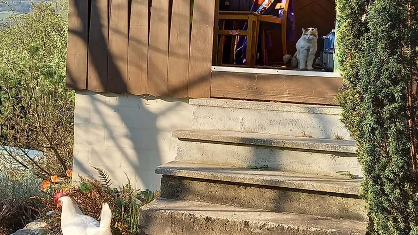 Single house for rent - Baselstrasse 36, 4202 Duggingen