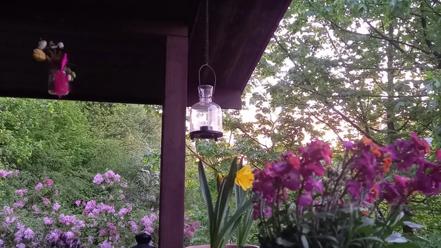 Single house for rent - Baselstrasse 36, 4202 Duggingen - Photo 2