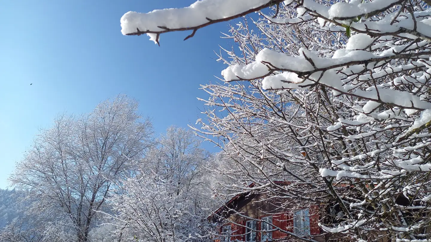 Single house for rent - Baselstrasse 36, 4202 Duggingen - Photo 4