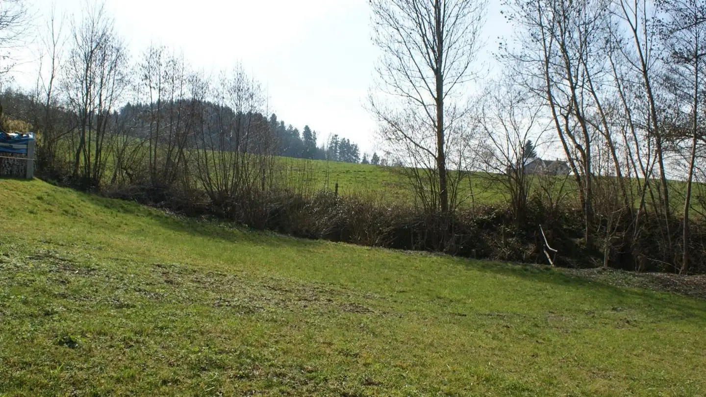 Terrain constructible à vendre - Büntwisenstrasse, 9205 Waldkirch - Photo 4