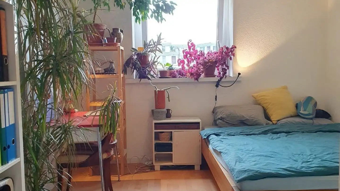 Stanza singola in affitto - 8055 Zürich - Foto 3