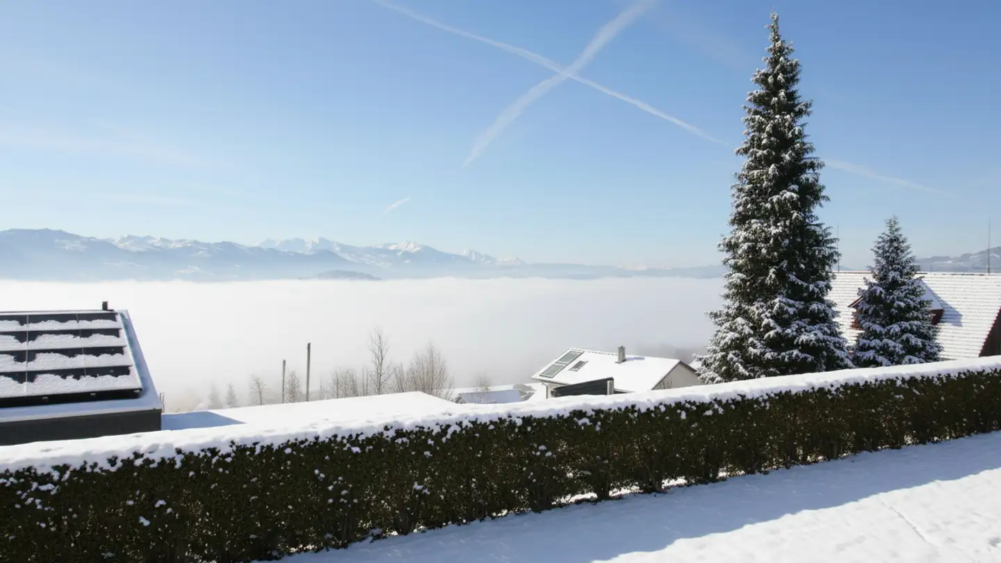 Einfamilienhaus kaufen - 8739 Rieden SG