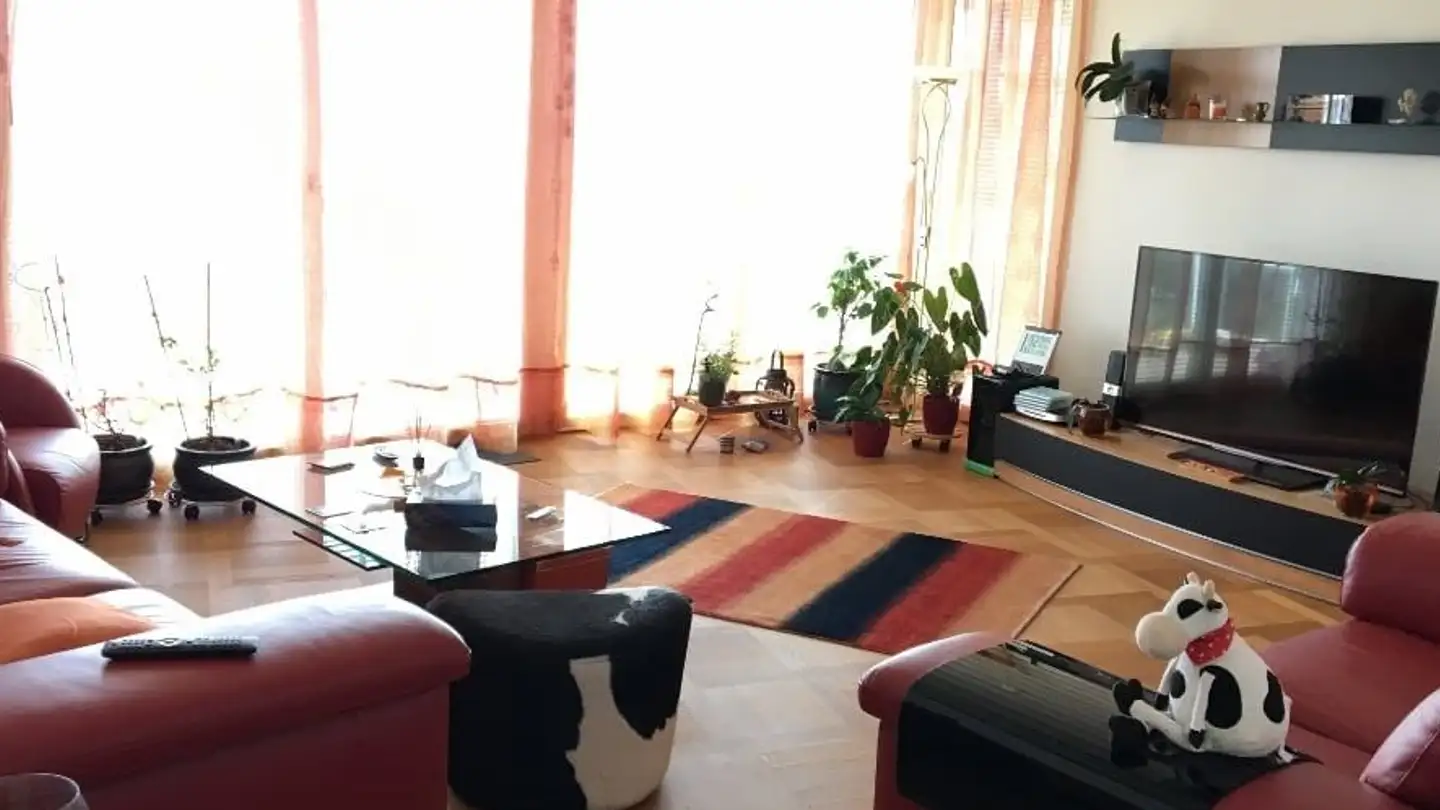 Appartement à louer - 8820 Wädenswil - Photo 2