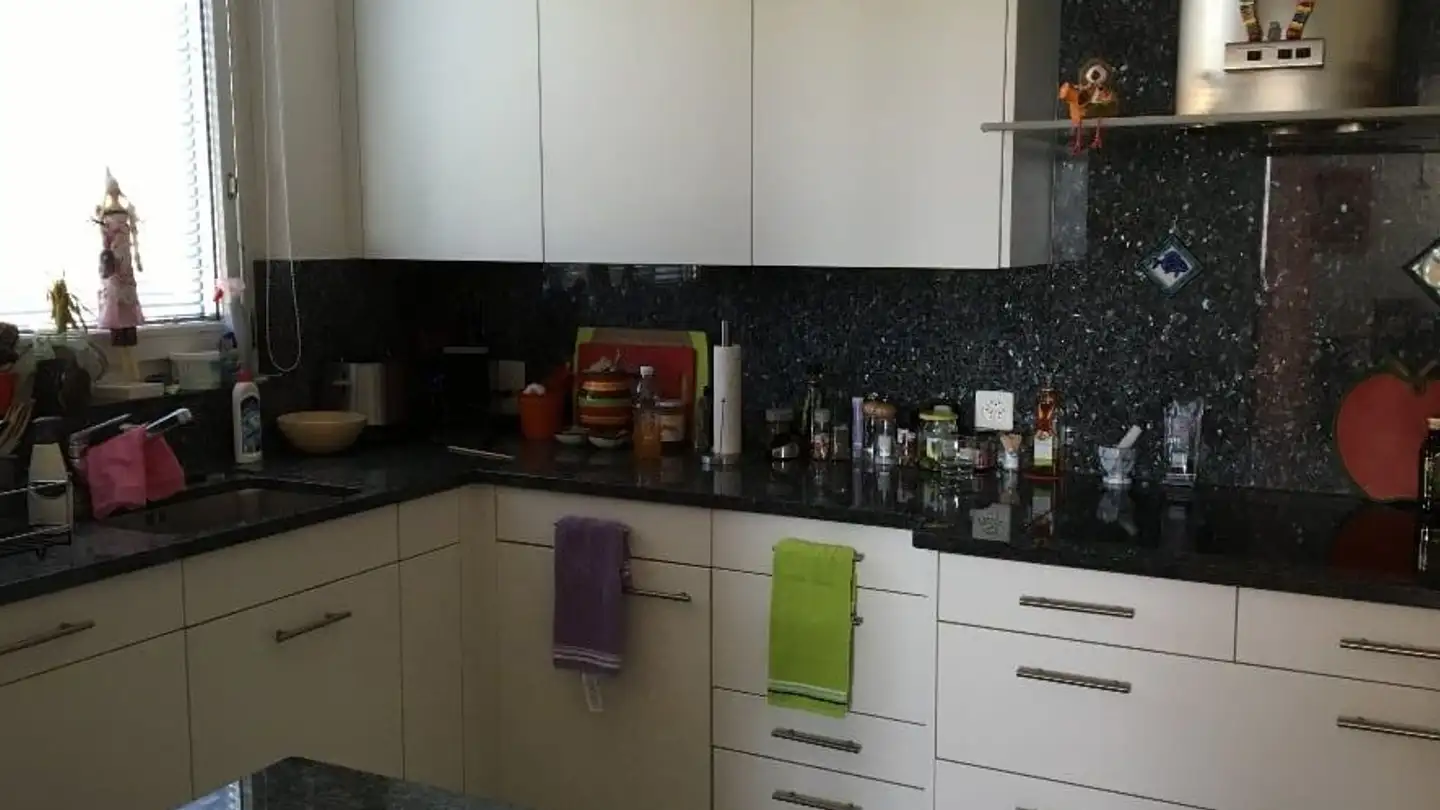 Appartement à louer - 8820 Wädenswil - Photo 4