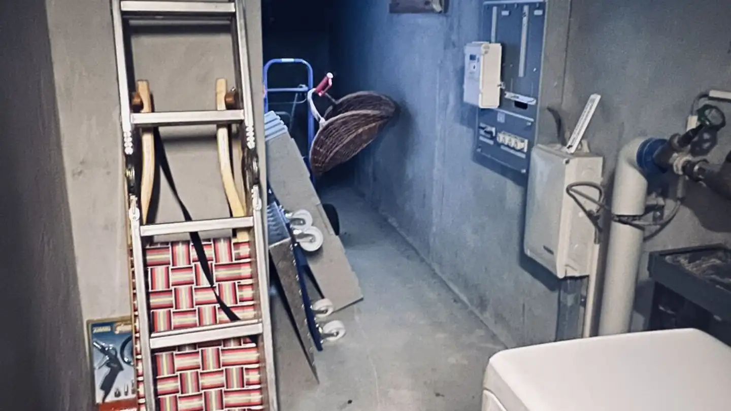 Chalet à vendre - Chemin De La Cottettaz, 1865 Les Diablerets