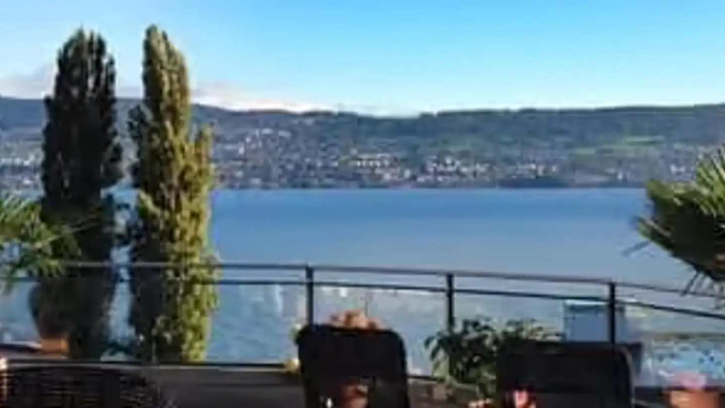 Stepped apartment for rent - Tiefenhofstrasse, 8820 Wädenswil