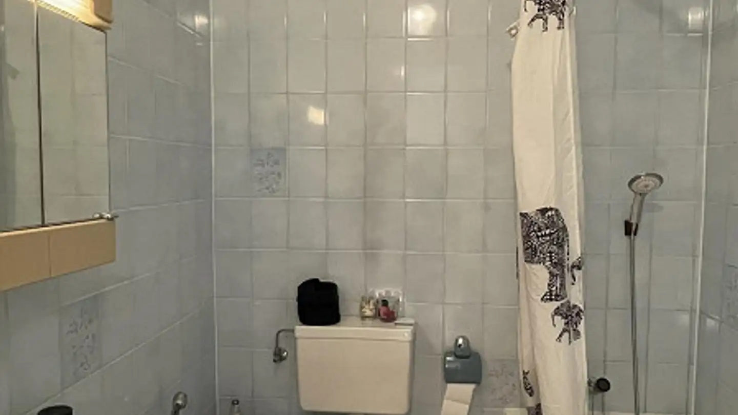 Wohnung mieten - Rue Henri- Veyrassat 12, 1202 Genève - Foto 4