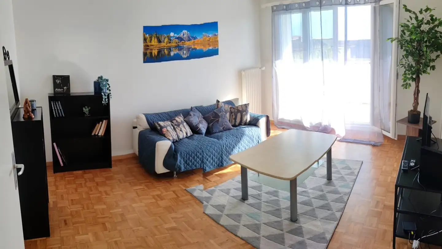 Appartamento in affitto - Avenue Gustave Coindet, 1800 Vevey - Foto 4