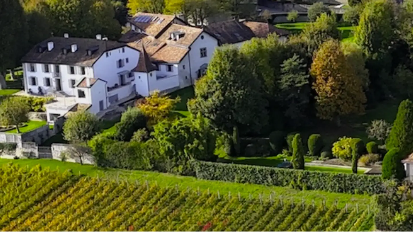 Castle for sale - 1260 Nyon - Photo 3