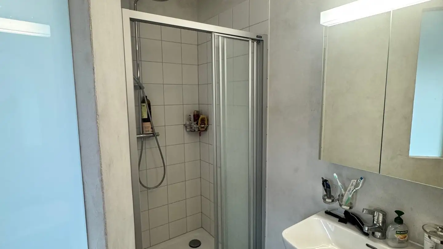 Appartement à louer - 1966 Signèse (Ayent) - Photo 4