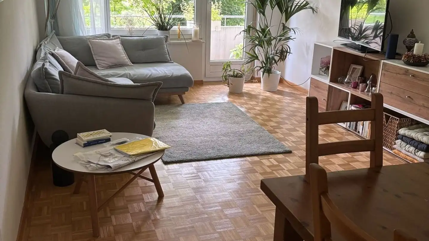 Wohnung mieten - 8055 Zürich