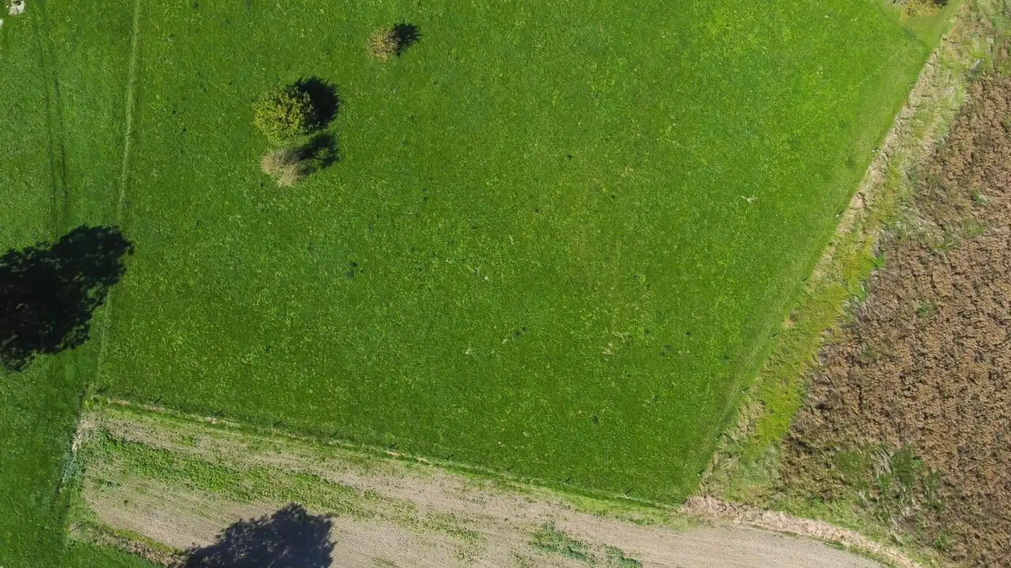 Constructible plot for sale - 1306 Daillens - Photo 4