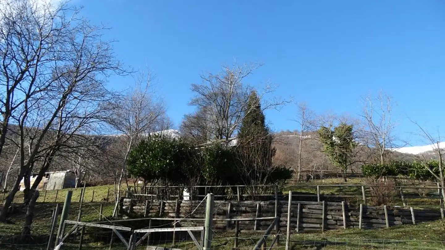 Fattoria in vendita - 6986 Miglieglia - Foto 2