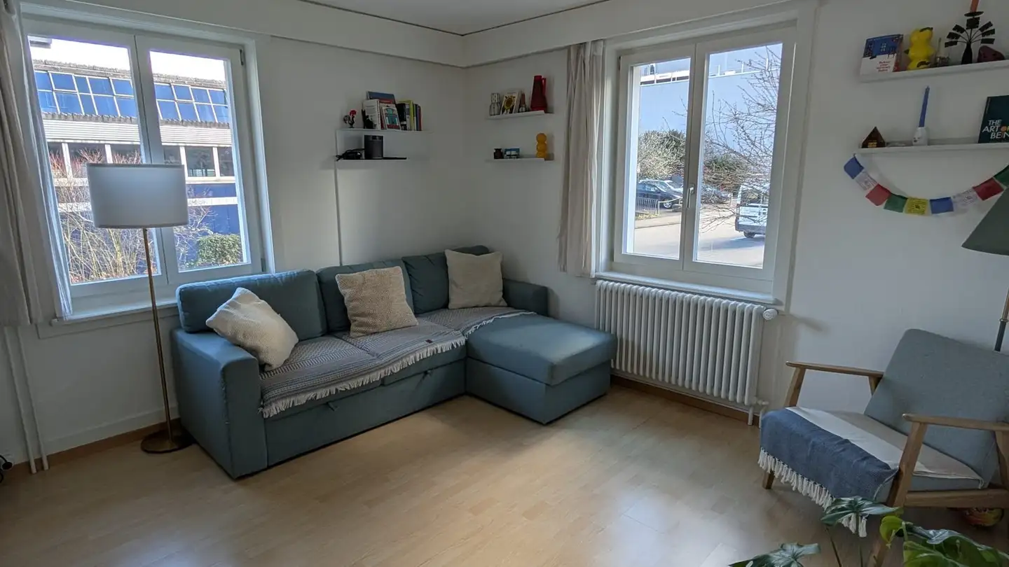 Single house for rent - Birnbaumstrasse 17, 8050 Zürich